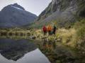 Alpine tarns alongside the Milford Road are a beautiful sight to see!