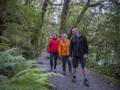 Lush native forest surrounds us on the Marian Gantry walk