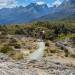 Group enjoying a bluebird day on Key Summit Routeburn Track, Fiordland National Park