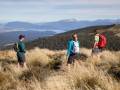 Enjoy the views of Lake Manapouri and look down over south Fiordland a true wilderness area
