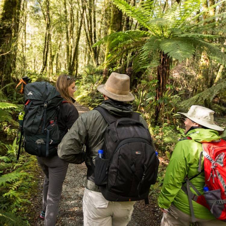 Milford Track Guided Walk and Boat Cruise - Trips & Tramps