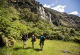 Take a breather at Doughboy on the Milford Track