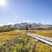 Boardwalks on the Key Summit track help to protect fragile vegetation, Routeburn Track, Fiordland 
