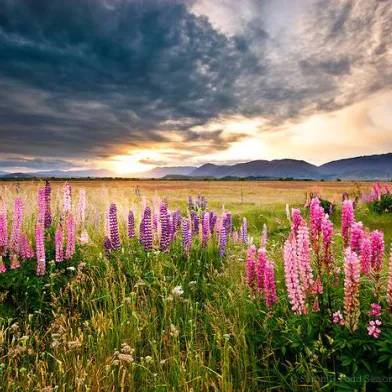 308590412 466429762194469 4304435246602333537 n